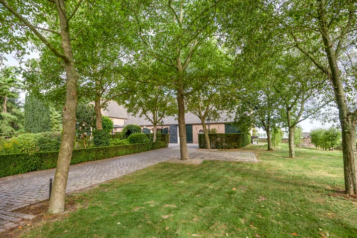 Foto 30 van Kruisstraat 26