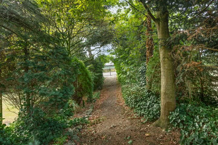 Foto 37 van Kruisstraat 26