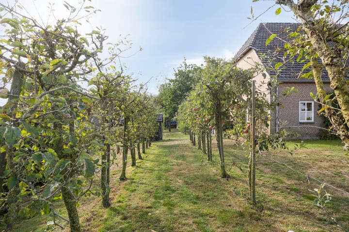 Foto 47 van Kruisstraat 26