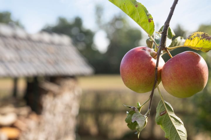 Foto 48 van Kruisstraat 26