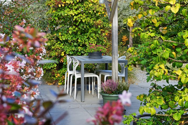 Foto 47 van Isaac Beeckmanstraat 6