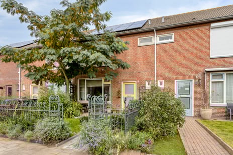 undefined main image