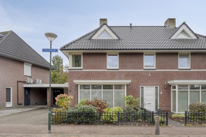 Foto 4 van Korenbloem 4