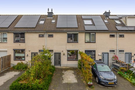 Amazonestraat thumbnail