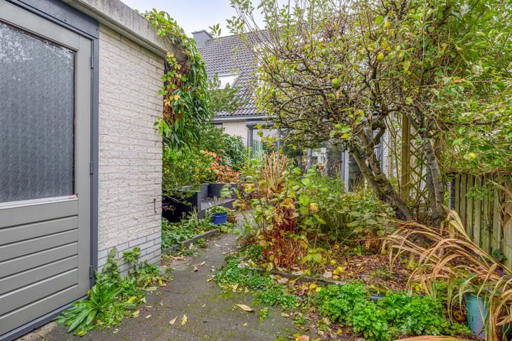 Photo 18 of Amazonestraat 15