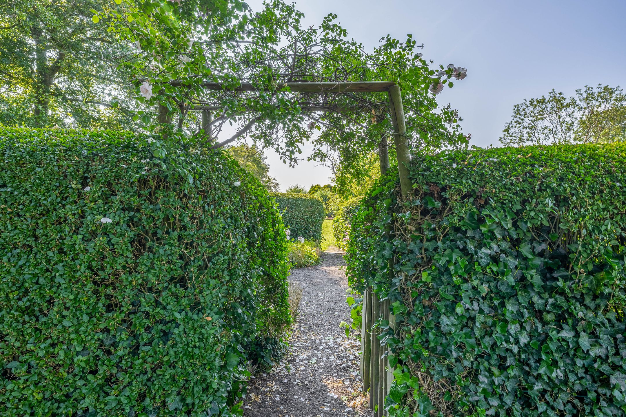 Foto 42 van IJsseldijk-Noord 206