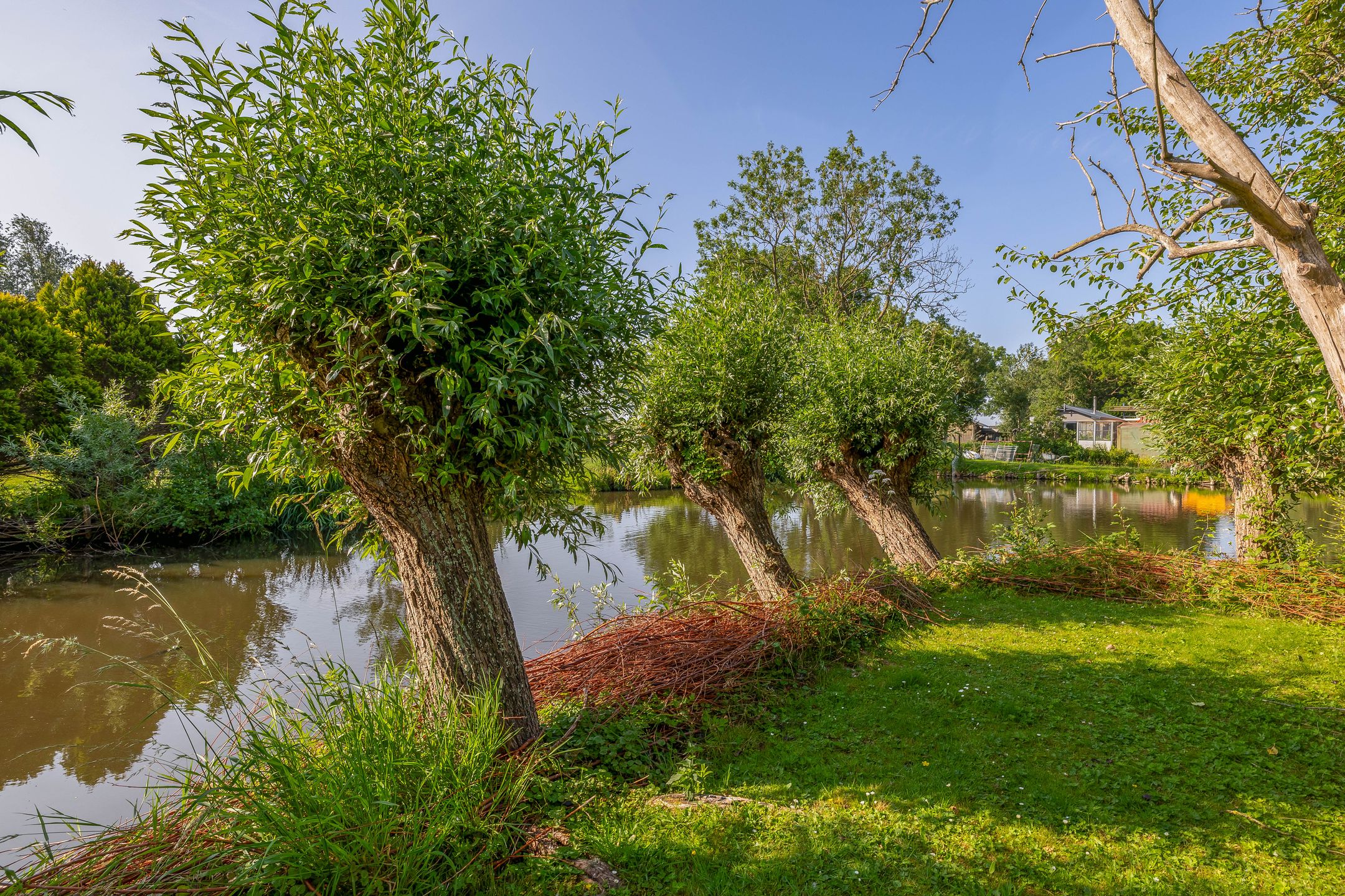 Foto 45 van IJsseldijk-Noord 206