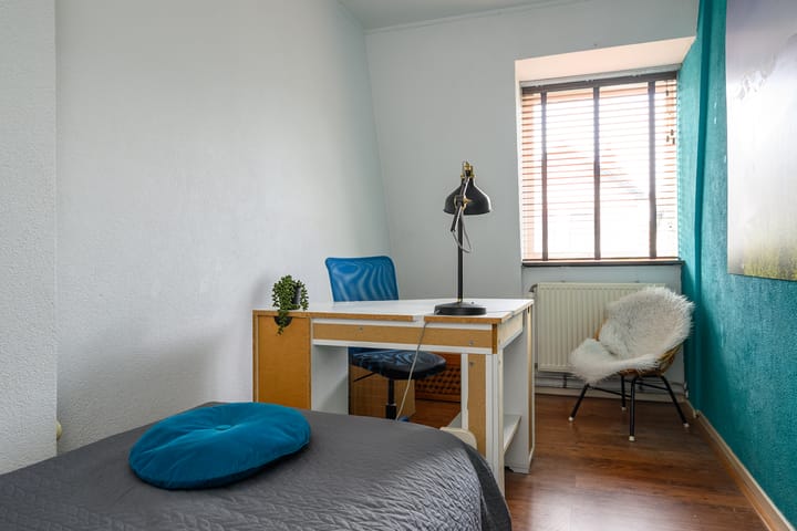 Foto 27 van Rozenstraat 113