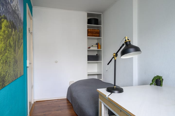 Foto 28 van Rozenstraat 113