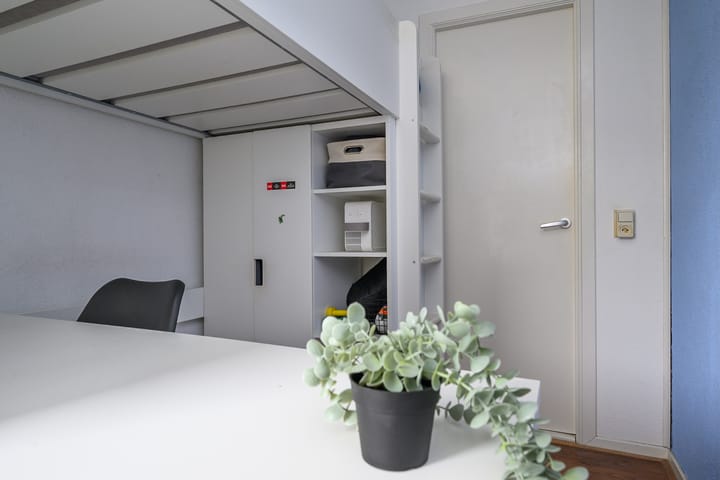 Foto 31 van Rozenstraat 113