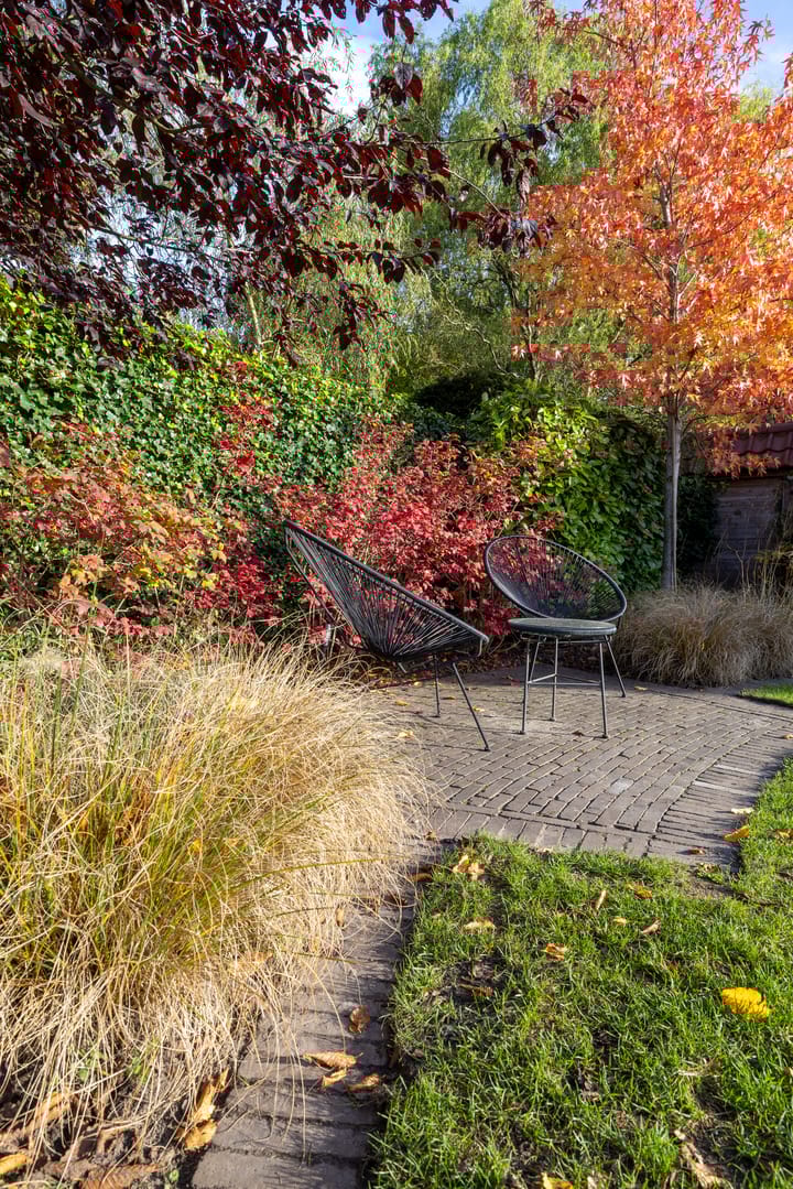 Foto 62 van Nijverheidstraat 4