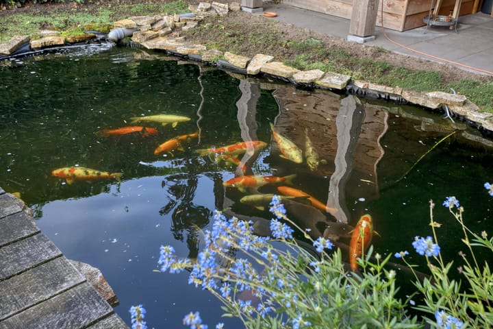 Foto 40 van Edison 10