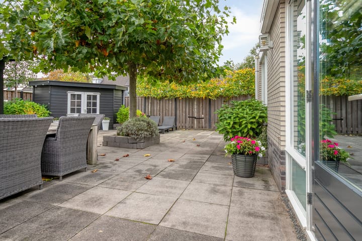 Photo 54 of Breukkruid 2