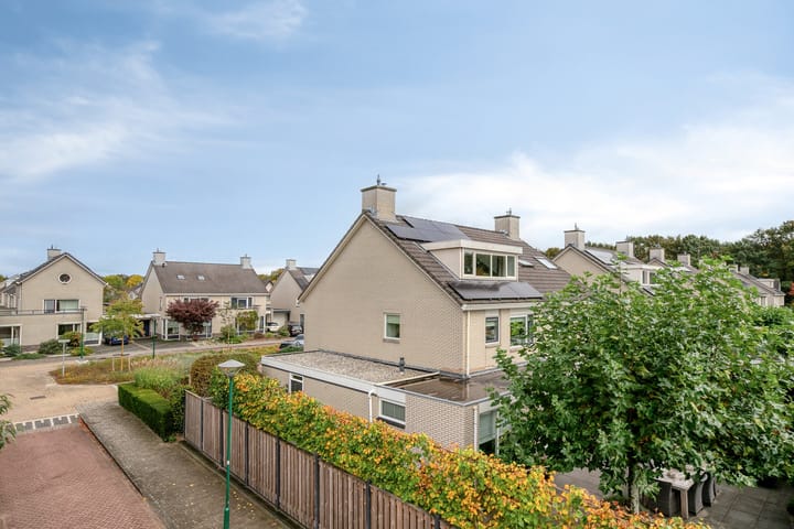 Photo 64 of Breukkruid 2