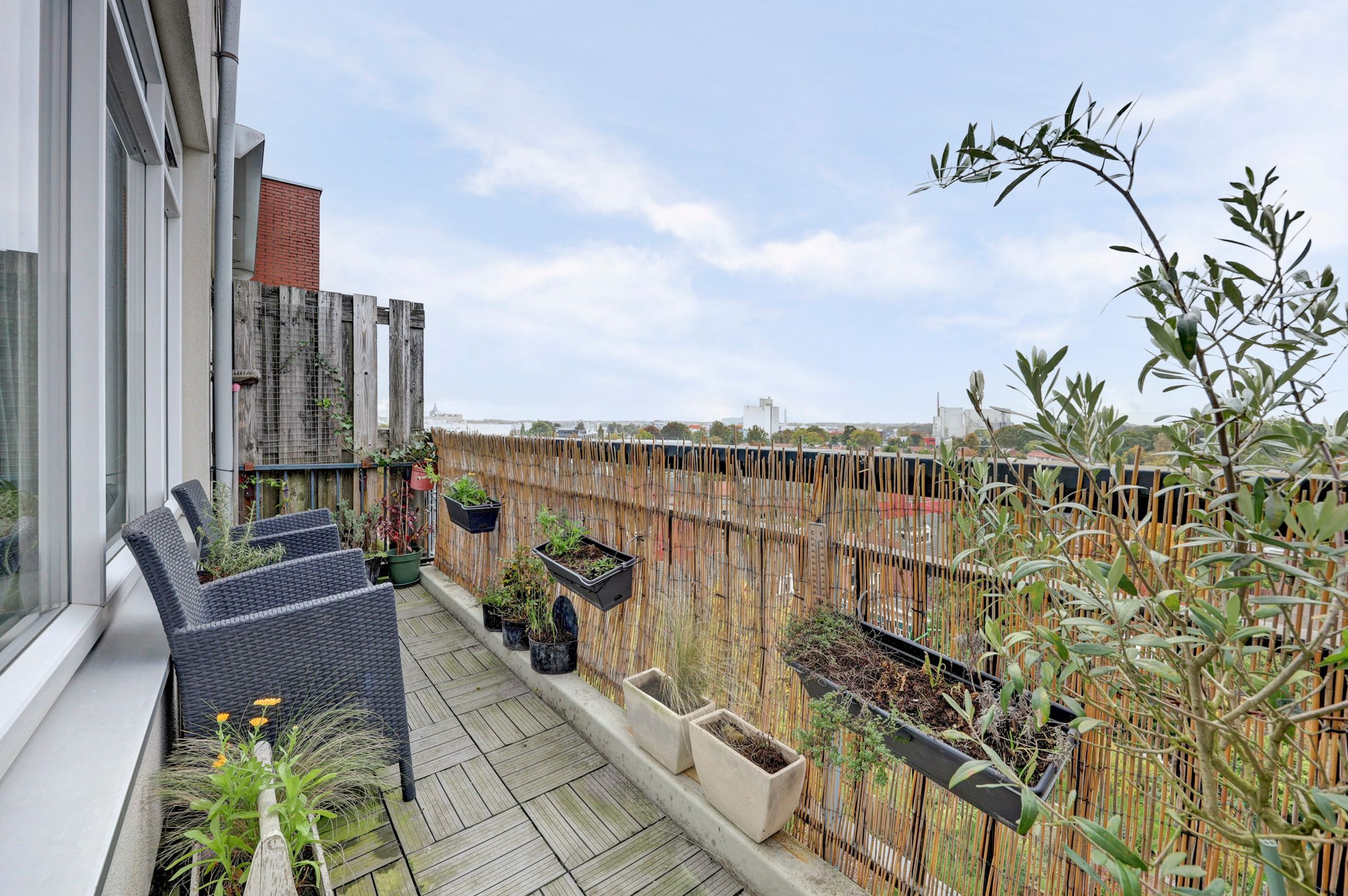 Foto 24 van F. Zernikestraat 123