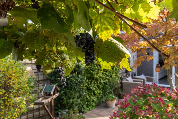 Foto 27 van Windbaan 48