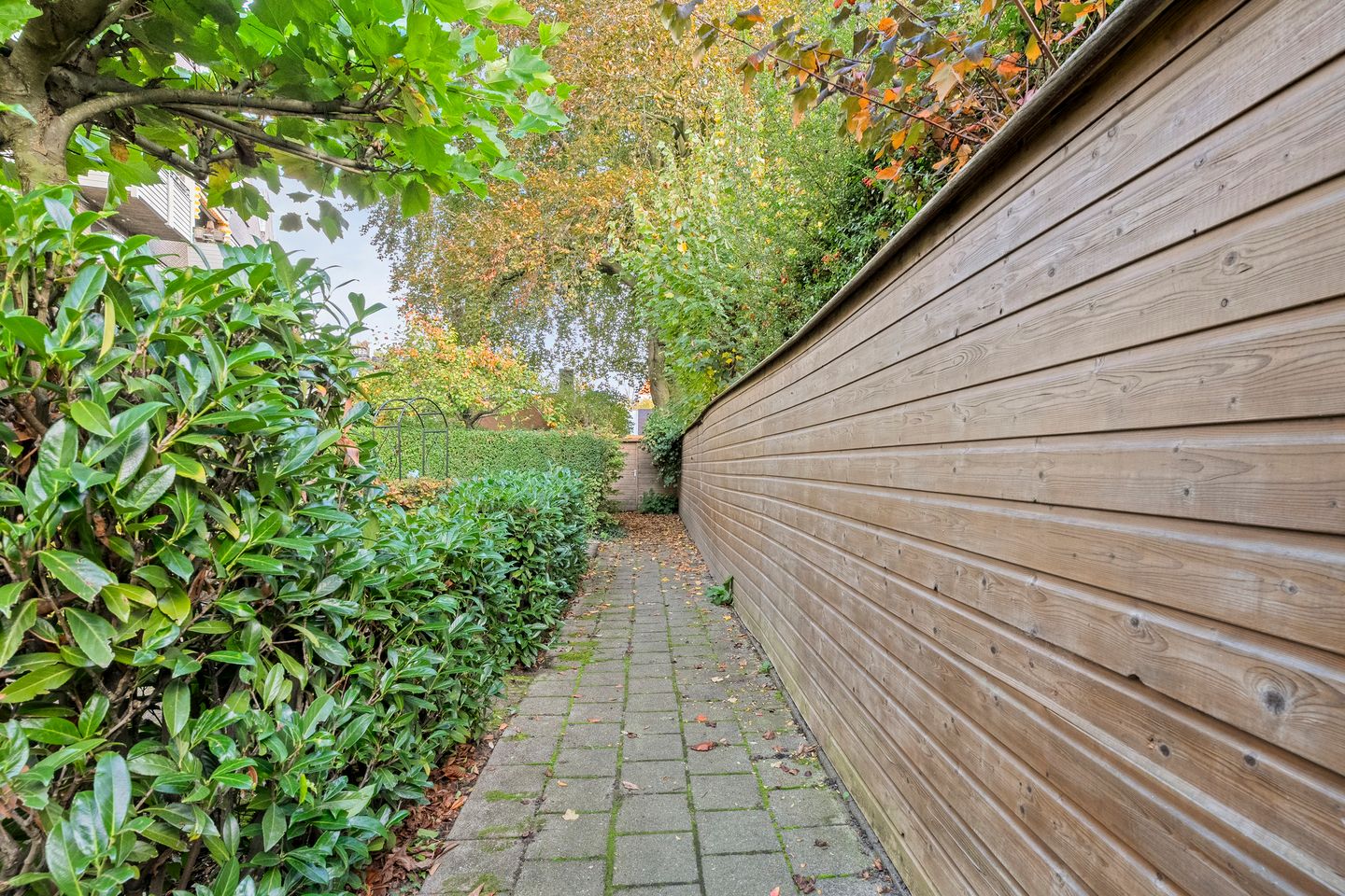 Foto 34 van Assiesstraat 10