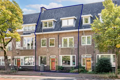 Wittevrouwensingel thumbnail