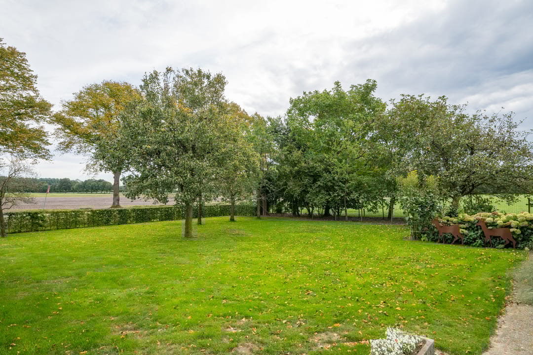 Foto 7 van Zwarteweg 15