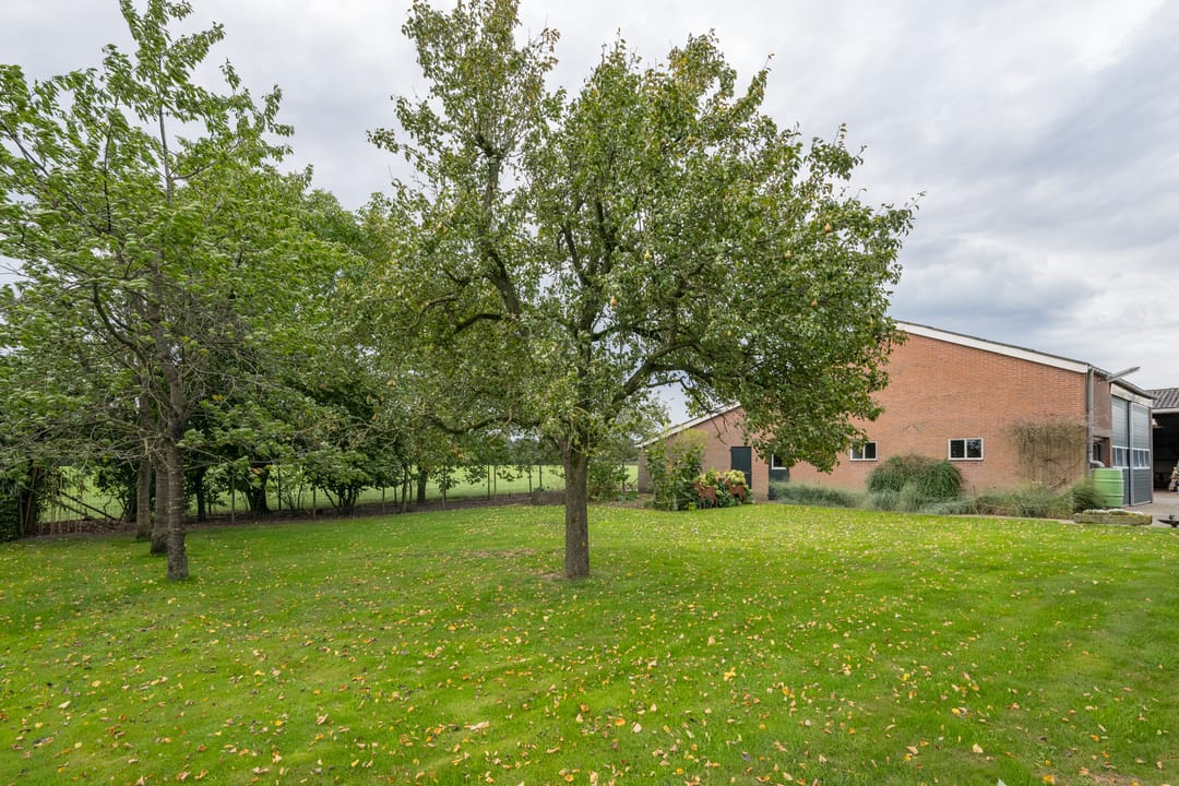 Foto 8 van Zwarteweg 15