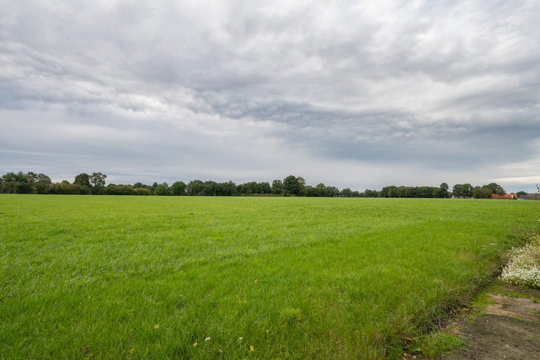 Foto 38 van Zwarteweg 15