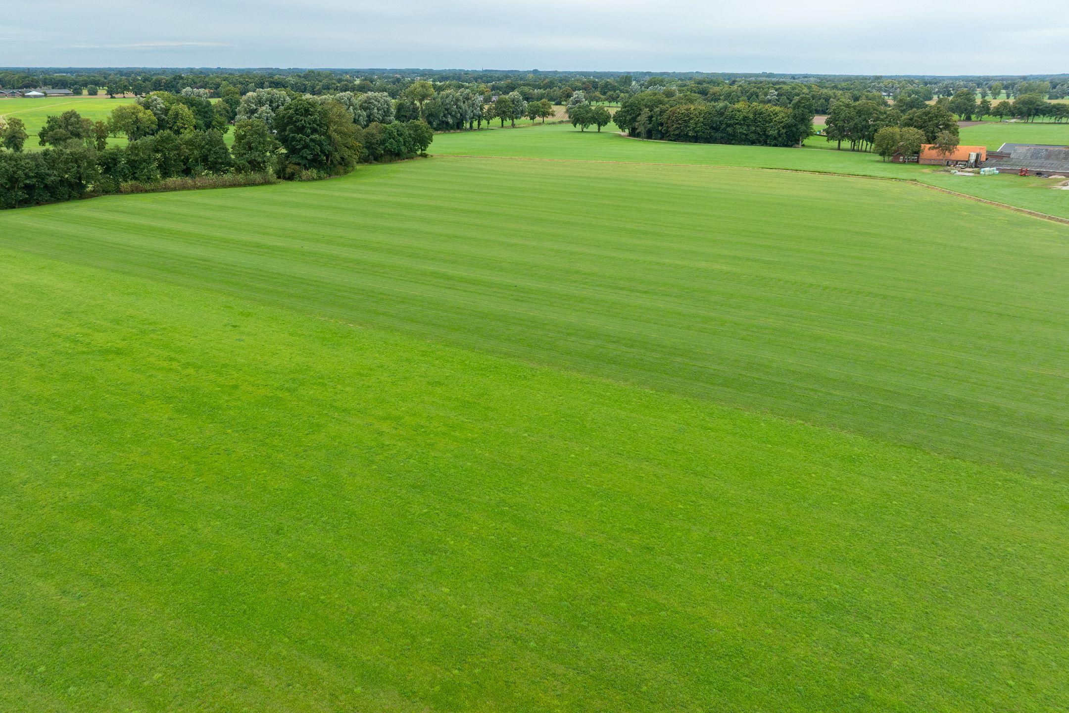 Foto 39 van Zwarteweg 15