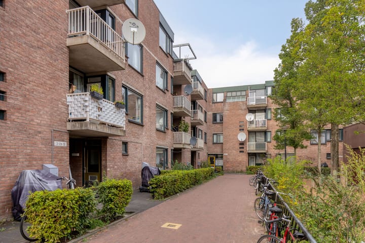 Foto 13 van Obiplein 21