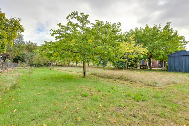 Foto 42 van Vossebelt 4