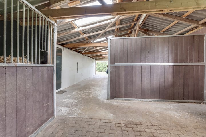 Foto 47 van Vossebelt 4