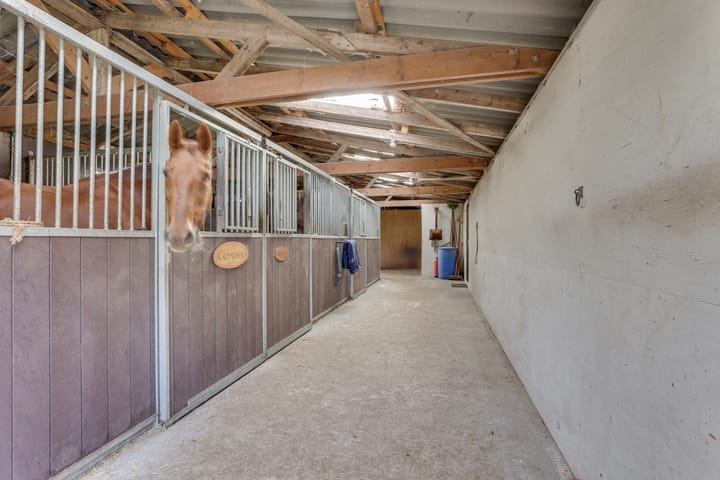 Foto 48 van Vossebelt 4