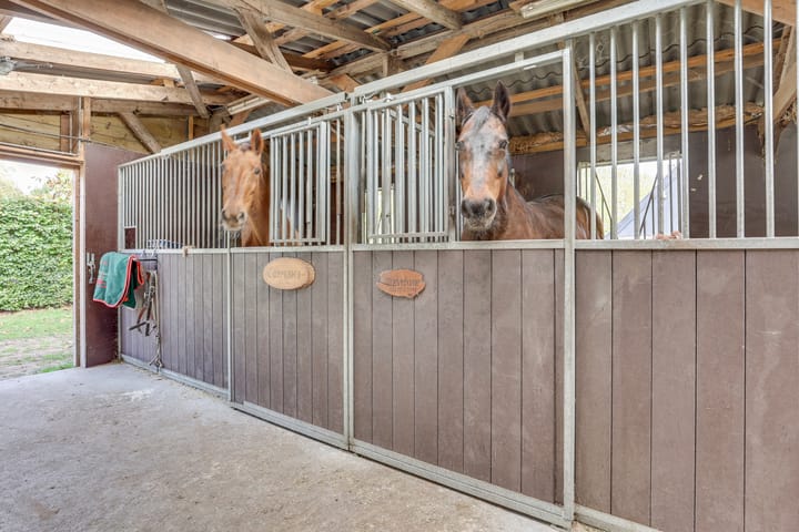 Foto 49 van Vossebelt 4