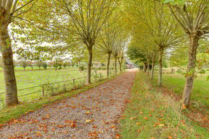 Foto 57 van Vossebelt 4