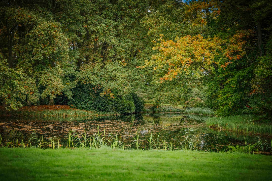 Photo 67 of Diepenveenseweg 1-B