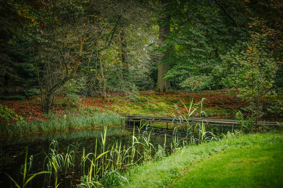Photo 68 of Diepenveenseweg 1-B