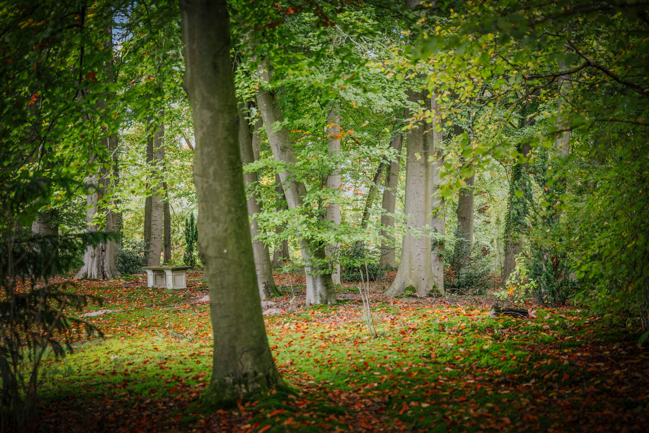 Photo 69 of Diepenveenseweg 1-B