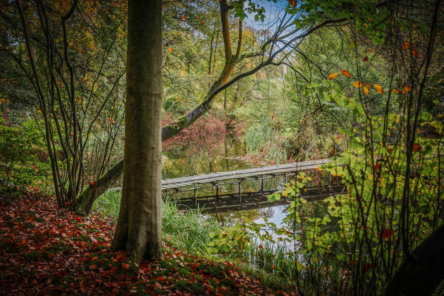 Photo 70 of Diepenveenseweg 1-B