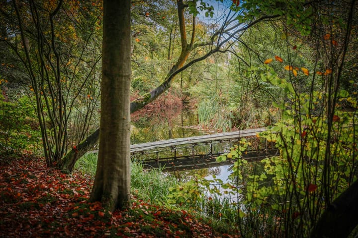 Foto 70 van Diepenveenseweg 1-B