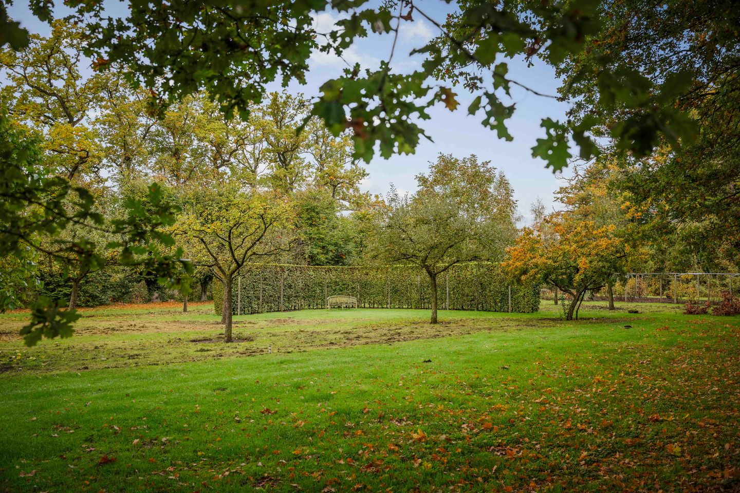 Photo 79 of Diepenveenseweg 1-B