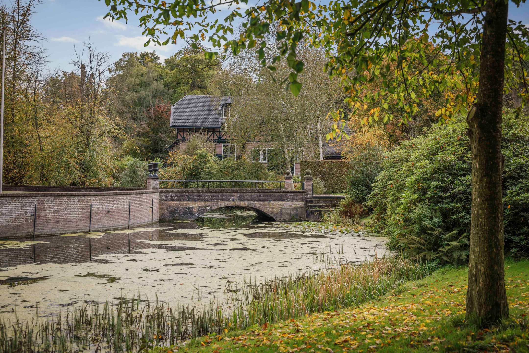 Photo 84 of Diepenveenseweg 1-B