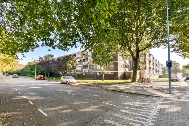 Foto 2 van Nedersticht 310