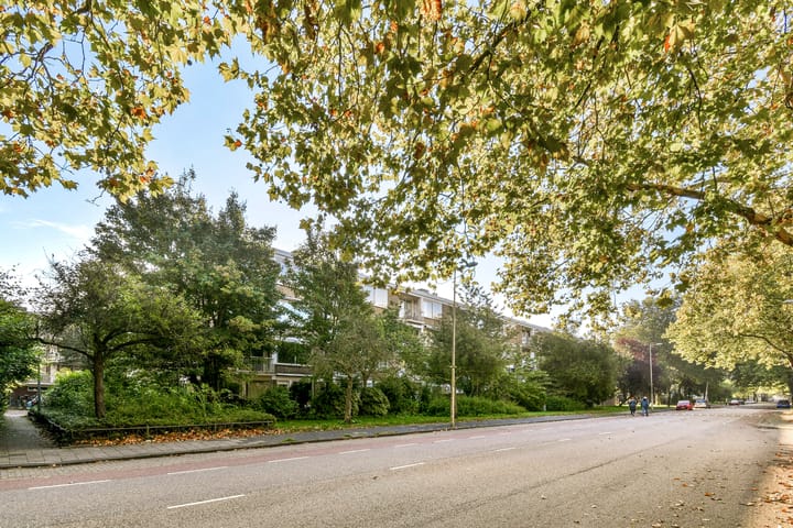 Foto 17 van Nedersticht 310