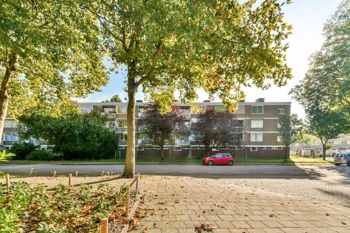 Foto 19 van Nedersticht 310