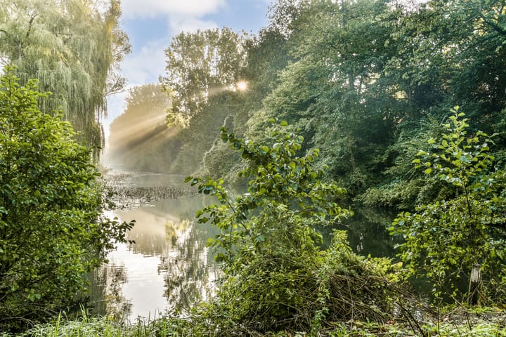 Foto 20 van Nedersticht 310