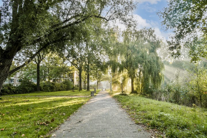 Foto 21 van Nedersticht 310