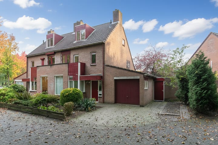 Aalscholverstraat 31