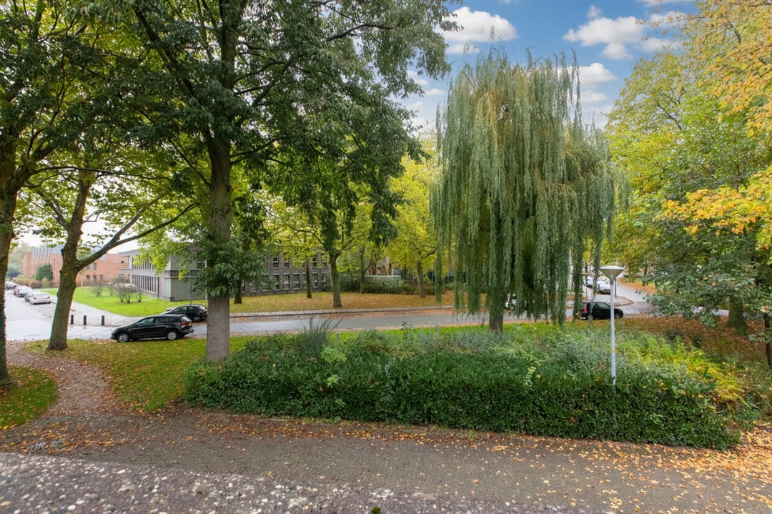 Foto 28 van Aalscholverstraat 31