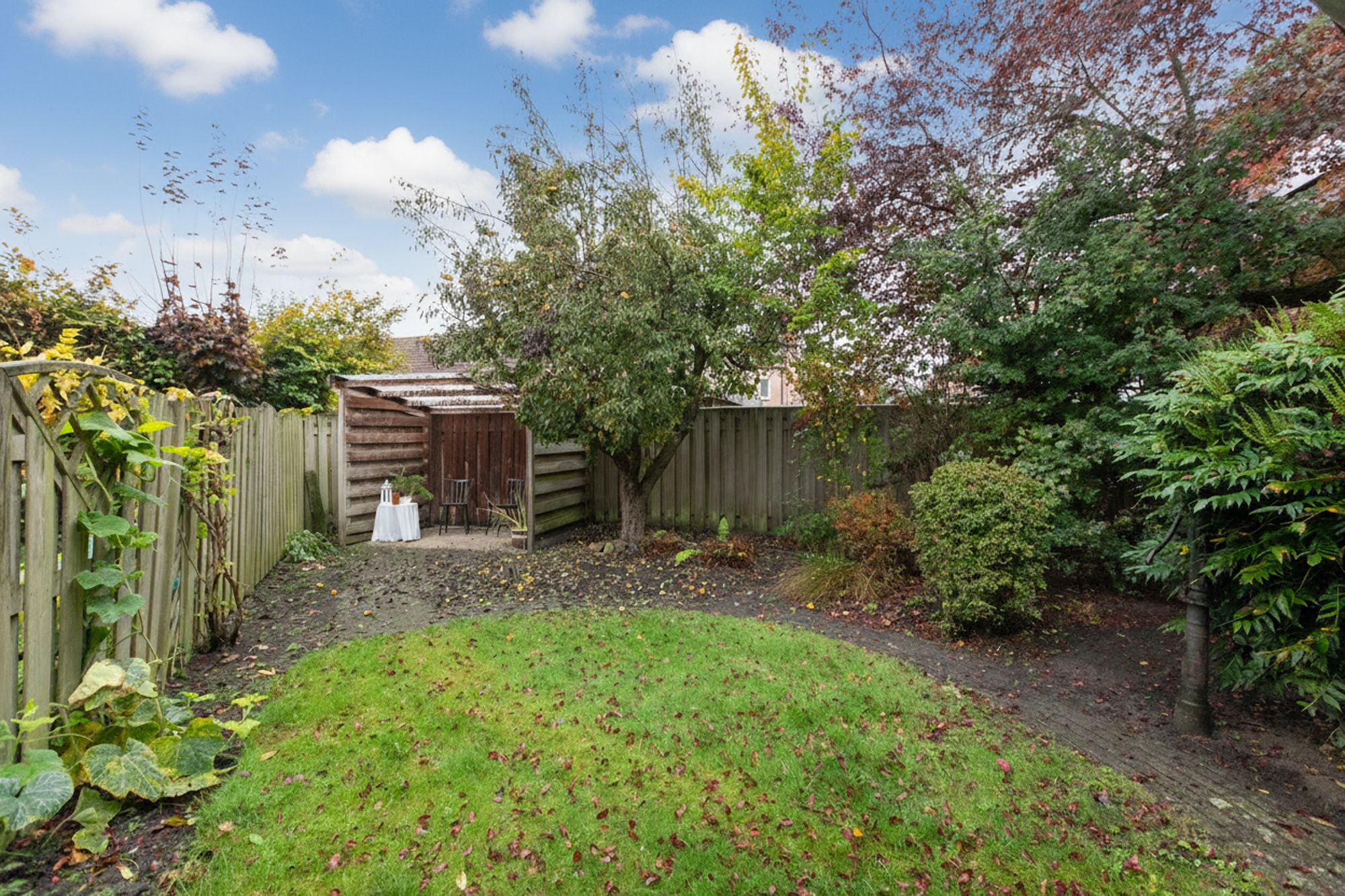 Foto 39 van Aalscholverstraat 31