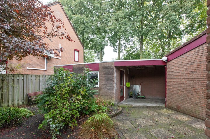 Foto 43 van Aalscholverstraat 31