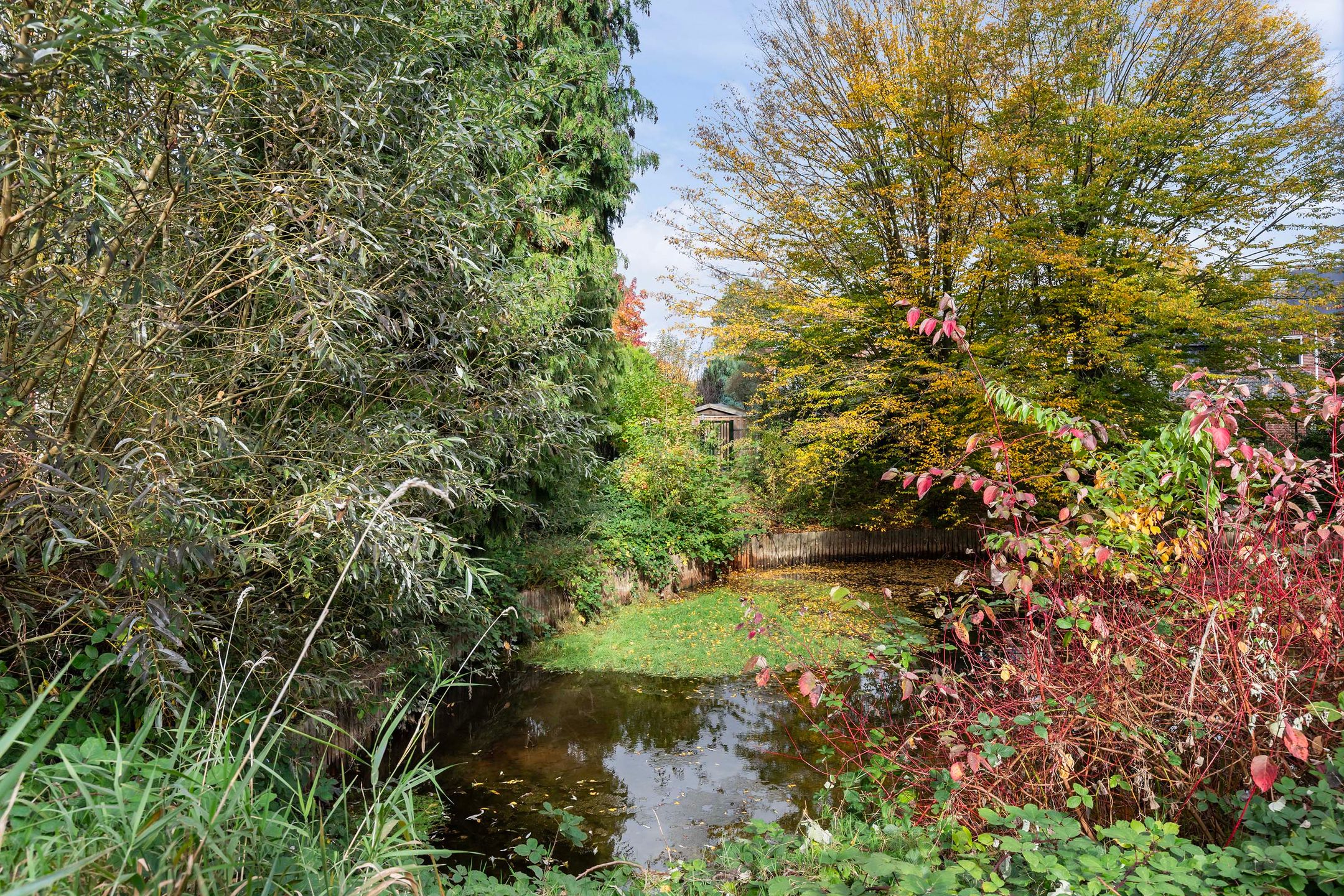 Foto 30 van Pieter de Hoochlaan 122