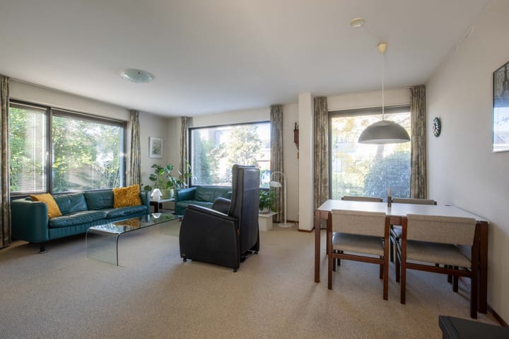 Foto 2 van Zanglijster 4